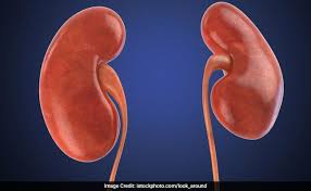 Symptoms, causes, and treatment of chronic kidney disease