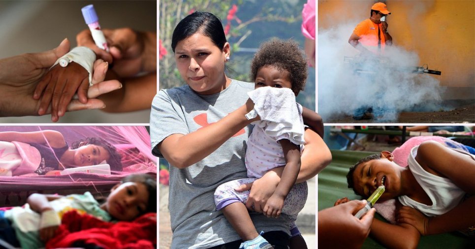 Major Dengue Fever Outbreak Infects 28 000 People MyMedicPlus
