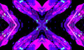 Skin in balance: Joint forces of polarity and cell mechanics