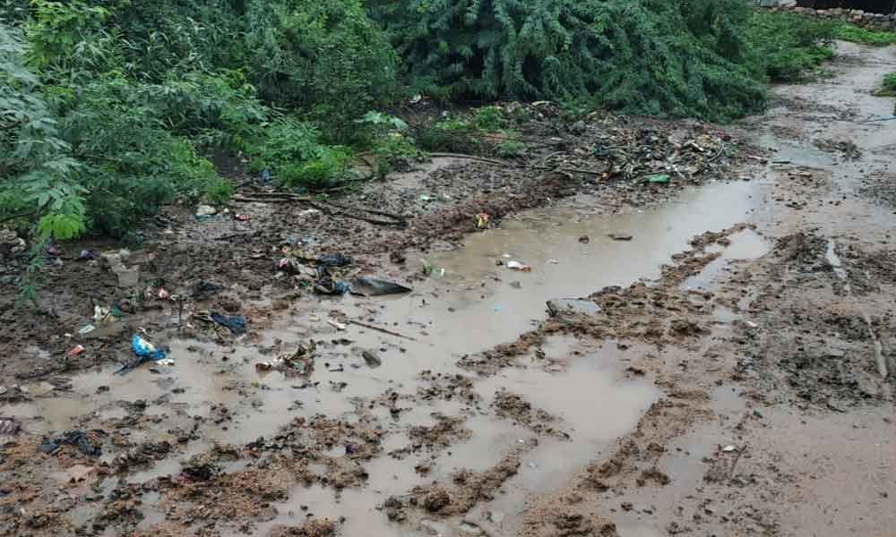 Seasonal diseases spreading fast MyMedicPlus