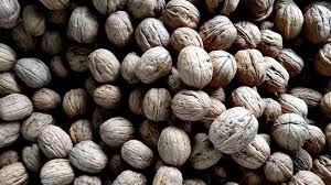 Handful of walnuts a day can keep cancer, obesity, diabetes at bay