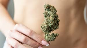 Endometriosis sufferers are turning to cannabis