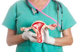 Postmenopause may favour microbiota associated with endometrial cancer, study shows