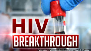FSU study to aid in fight against HIV, hepatitis B