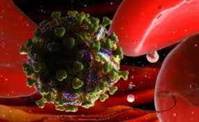 Finding a “Functional” Cure for HIV