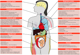 Perinatal Insomnia May Induce Concurrent and Postpartum Anxiety