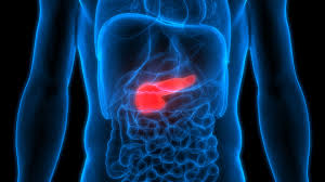 Can Diabetes Cause Kidney Stones? What Is The Link? Know Tips For Diabetics To Control The Risk