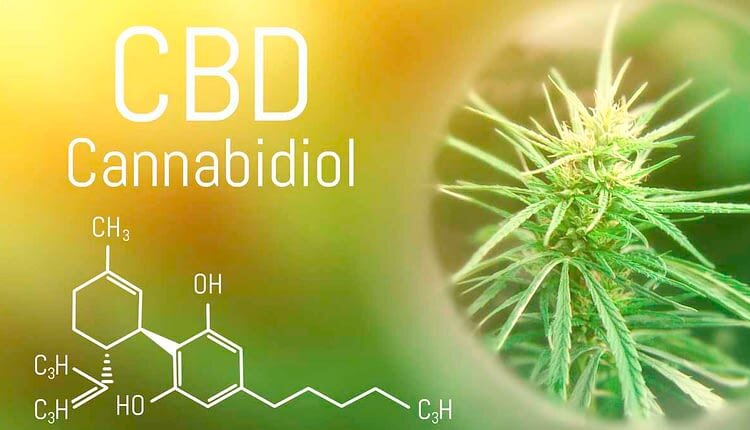 Can CBD Oil Help Lower and Control High Blood Pressure Level?