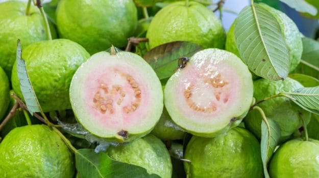 Guava Health Benefits: Control Blood Pressure, Boost Immunity And Much More With This Winter Fruit