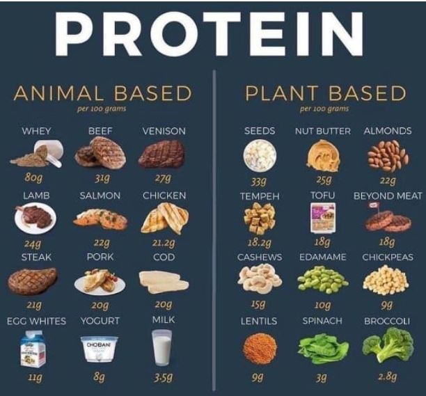 What is the best Source of high protein in our daily food? - MyMedicPlus