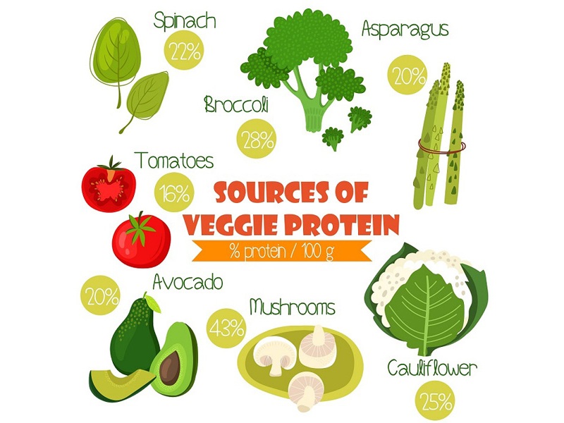 Top 40 best food source of high protein - MyMedicPlus