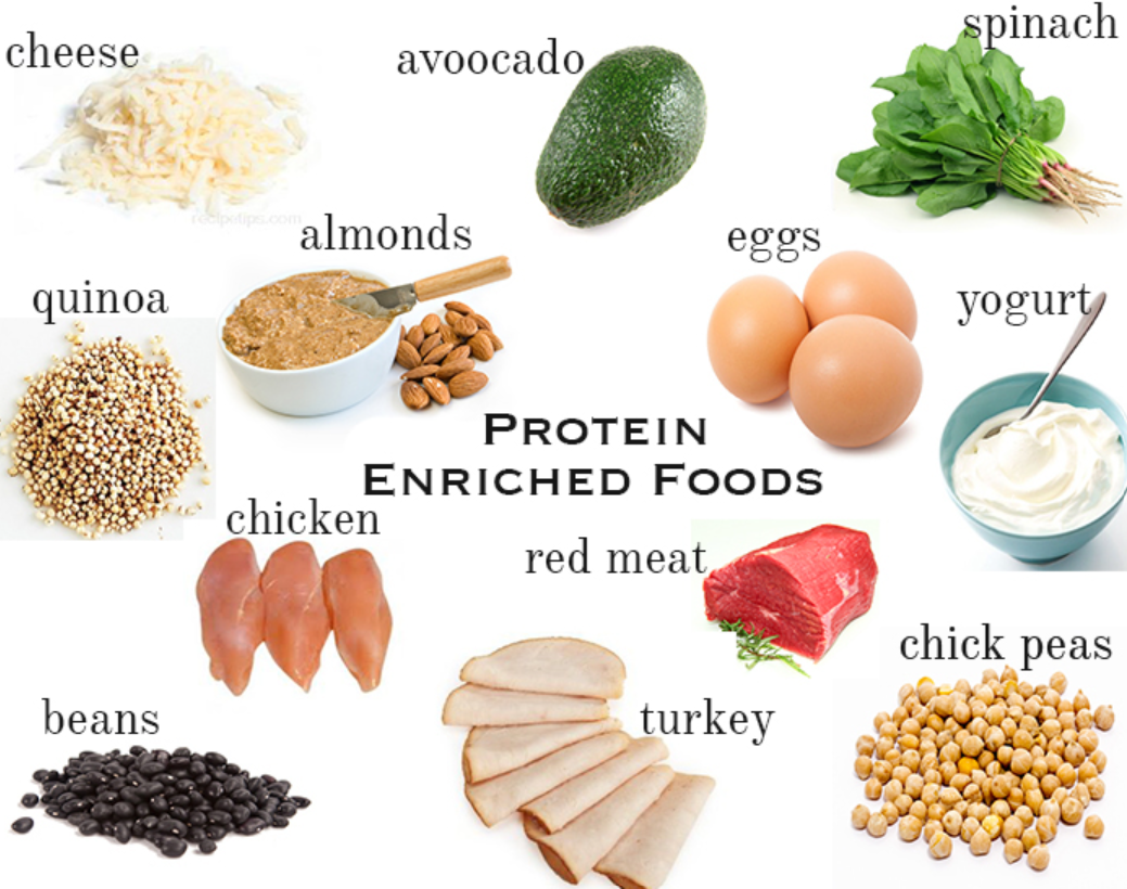 What is the best Source of high protein in our daily food?