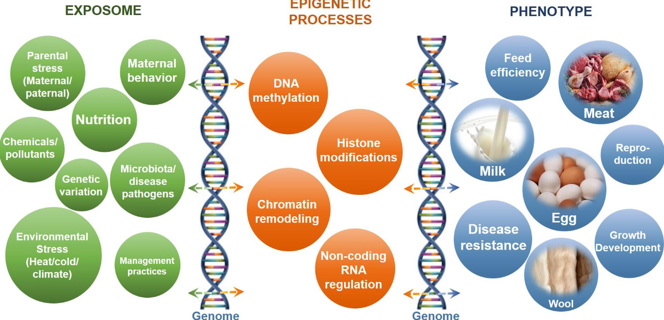 Finding a Secret of Anti Agiing in MyMedicPlus